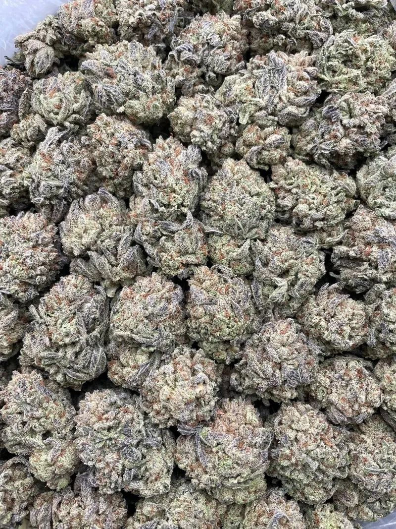 #D43T Gelato Storm ⛈️ 🍨