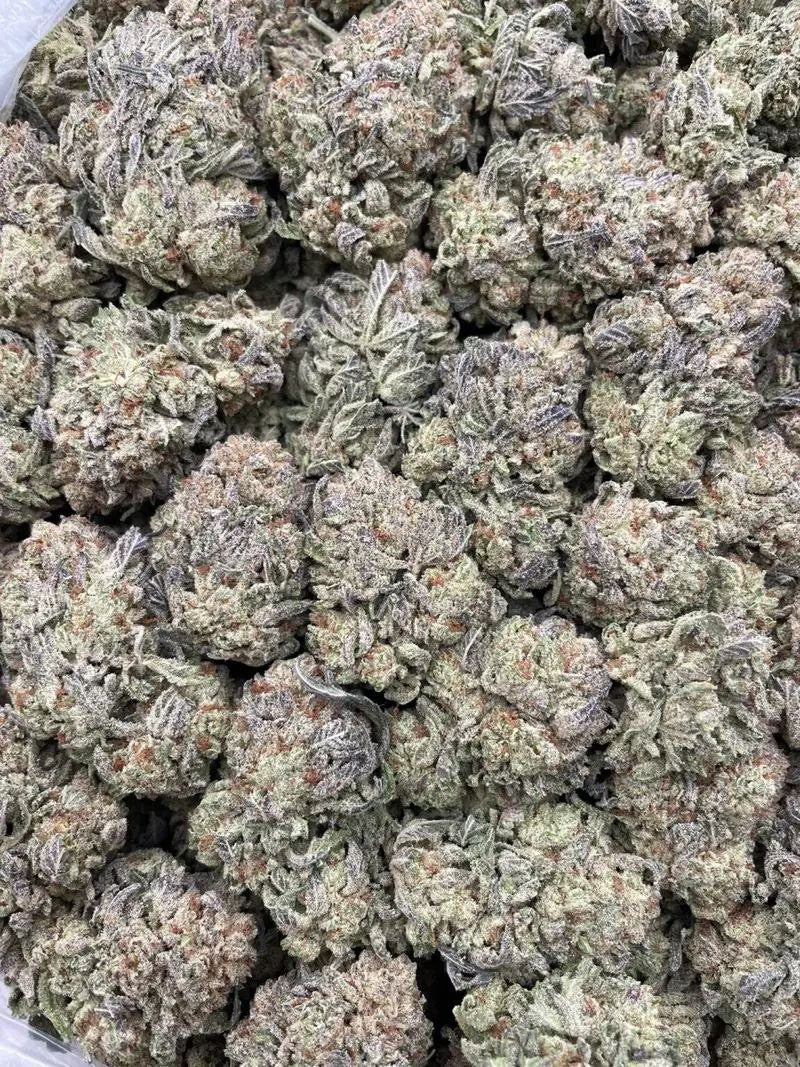 #A9T Mia Khalifa Cream Pie 🧴🥧