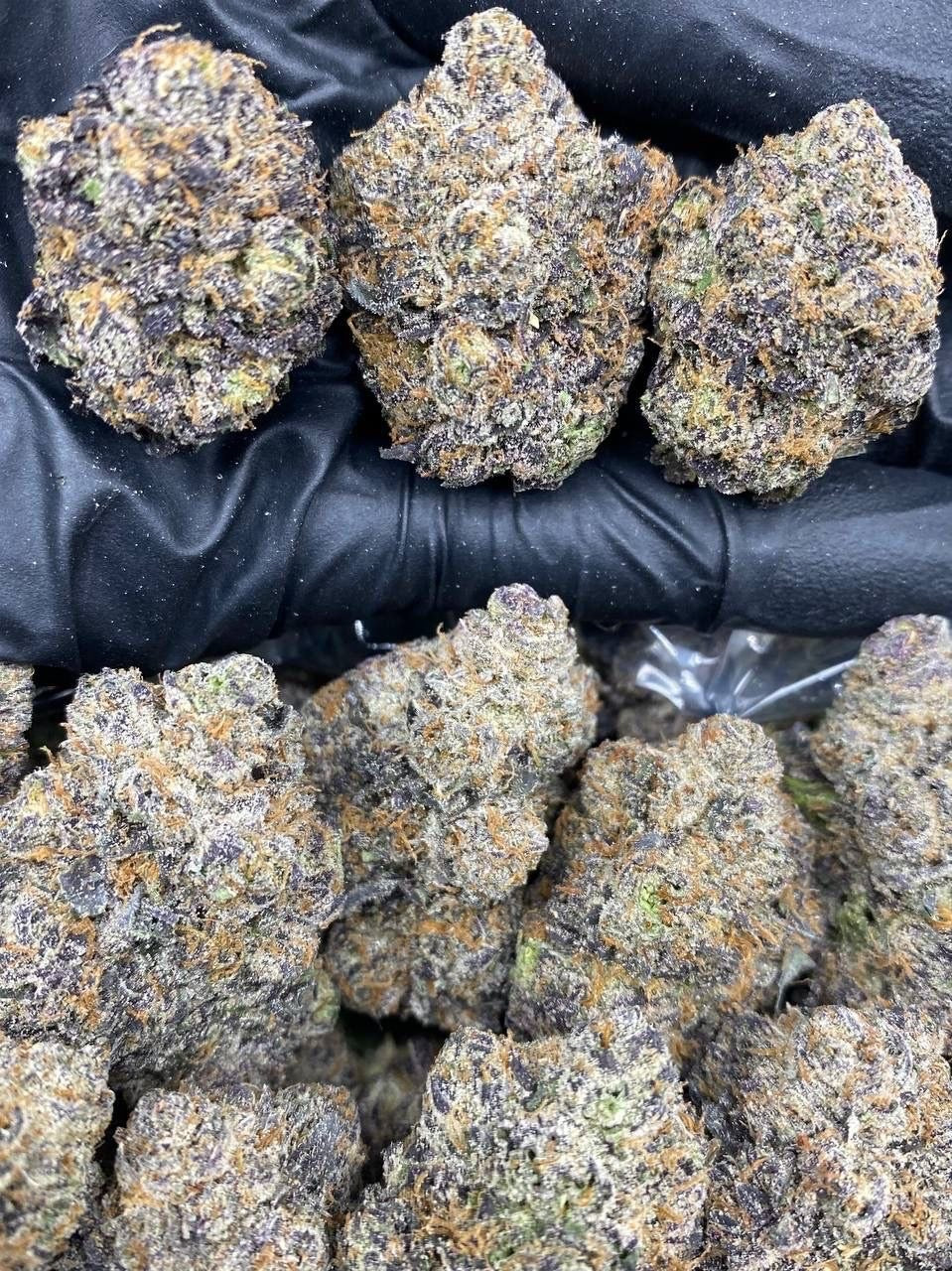 GUMBO KUSH
