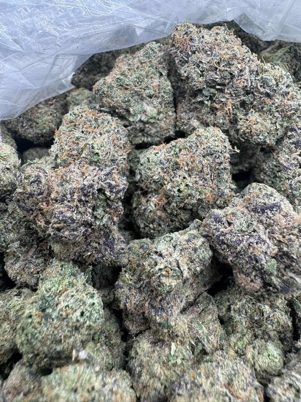 Watermelon Cherry
