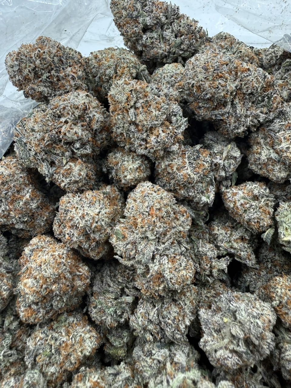 Blue berry Gelato