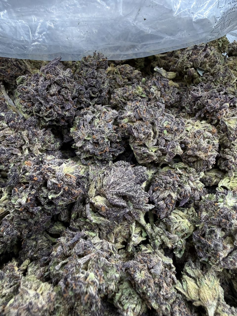 Berry Delight