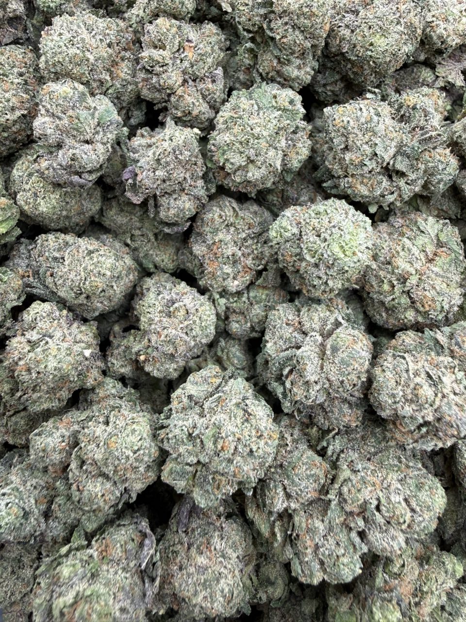 #3059 Butter Trufflez