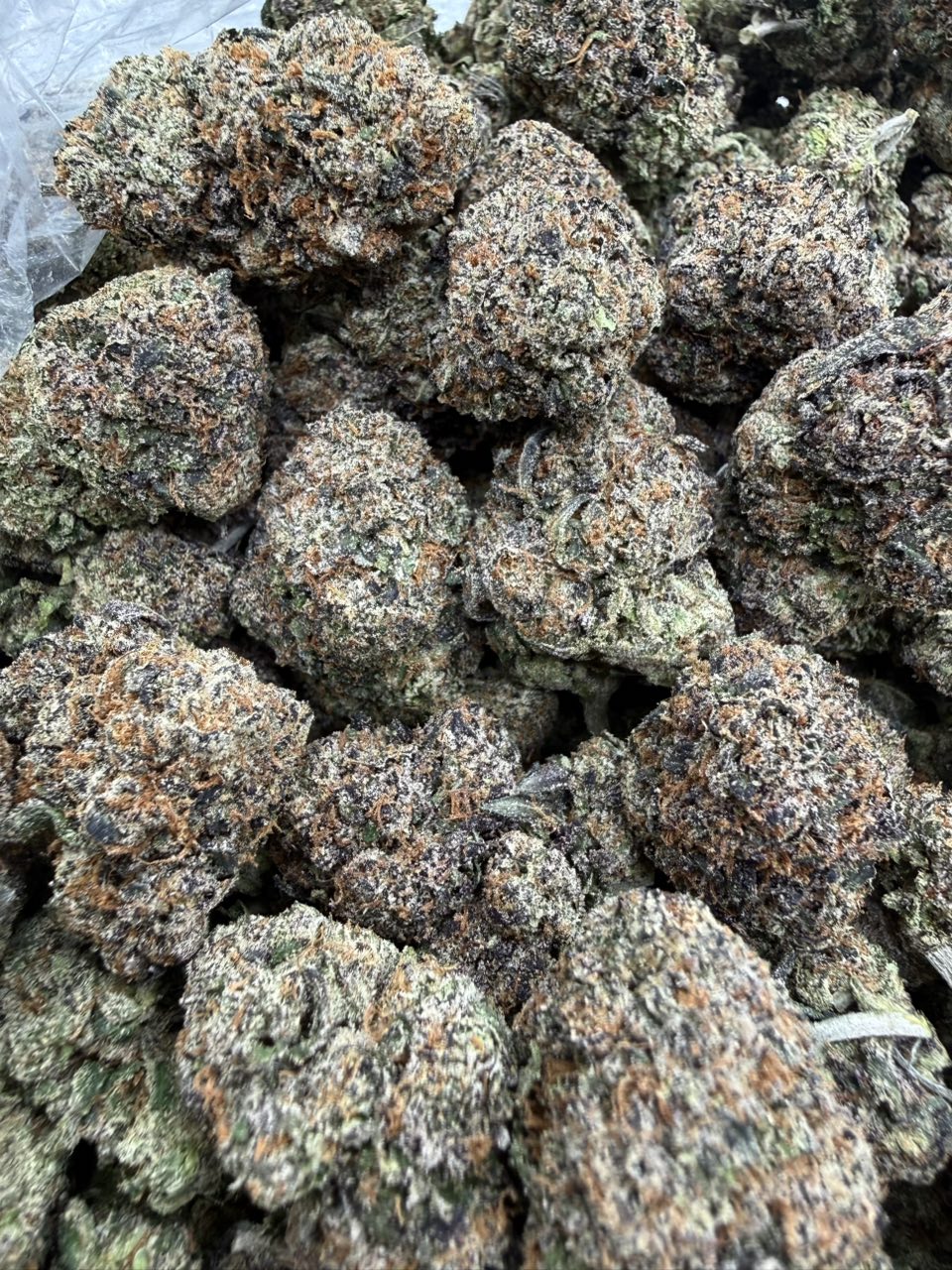 Black Lemon Cherry Z