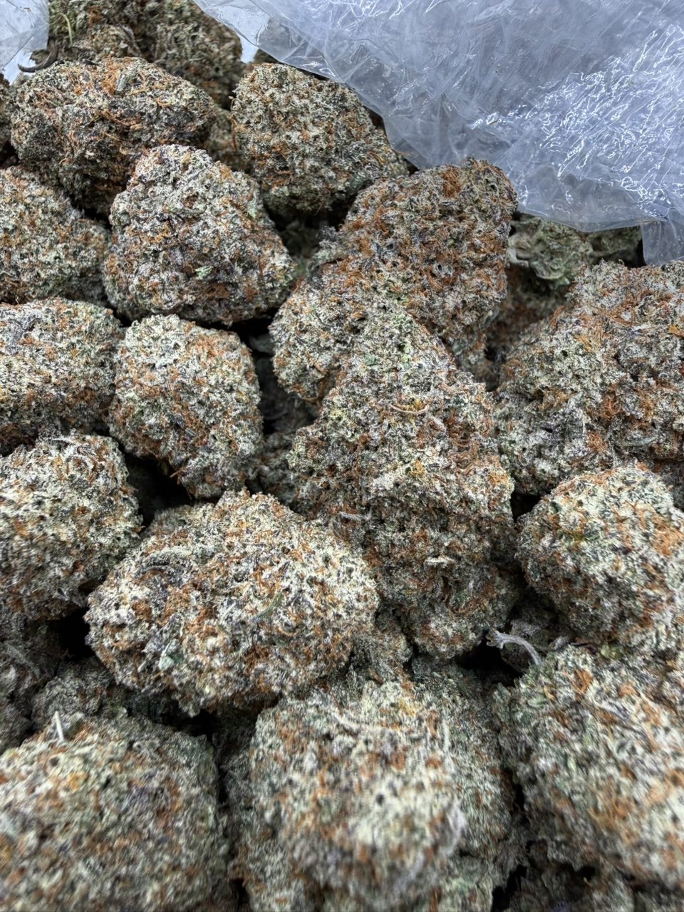 Gelato Cake