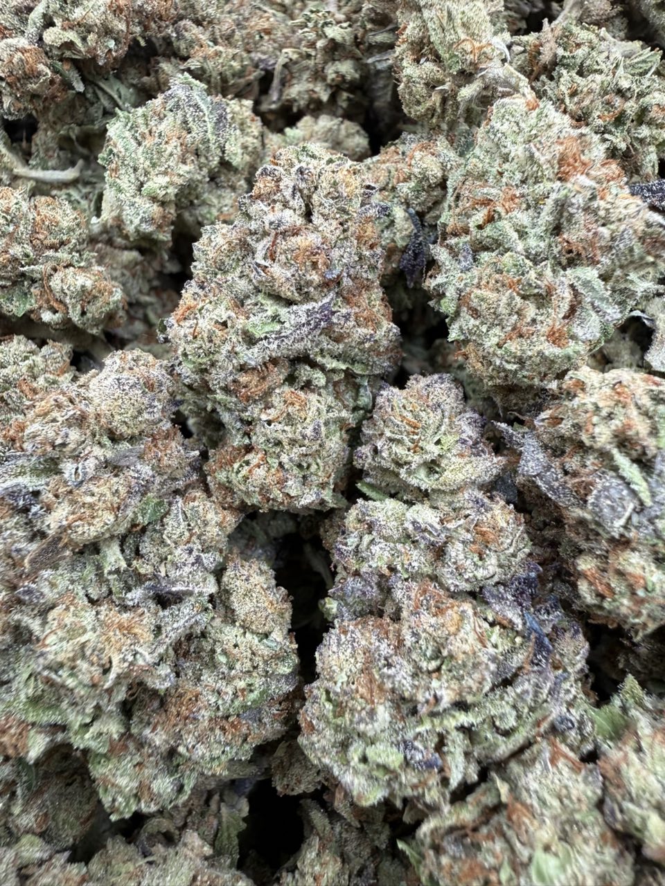 Cookie Dulce Runtz