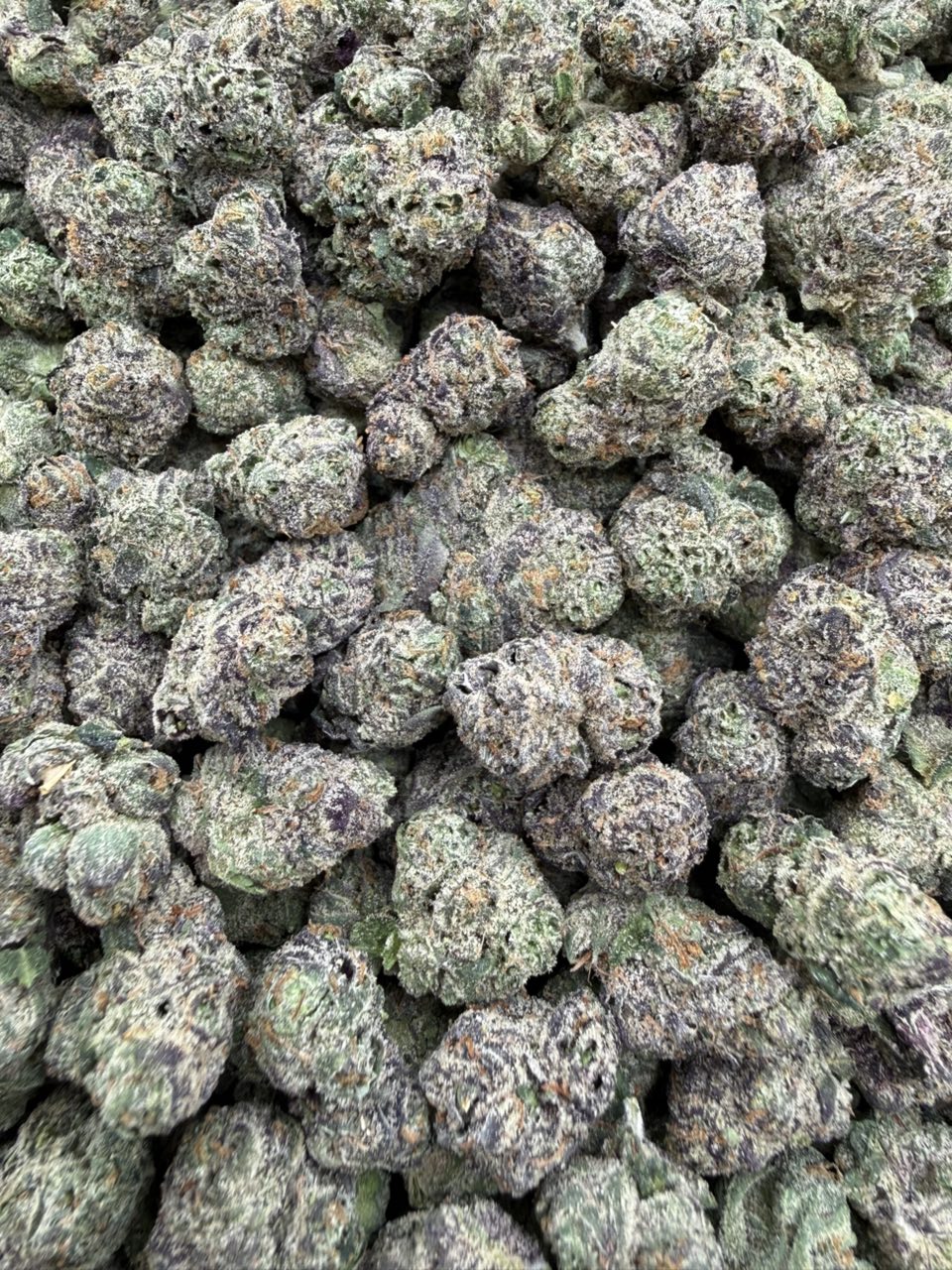 #3056 Sour Apple Gumdropz sm