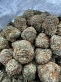 Moneybag Runtz