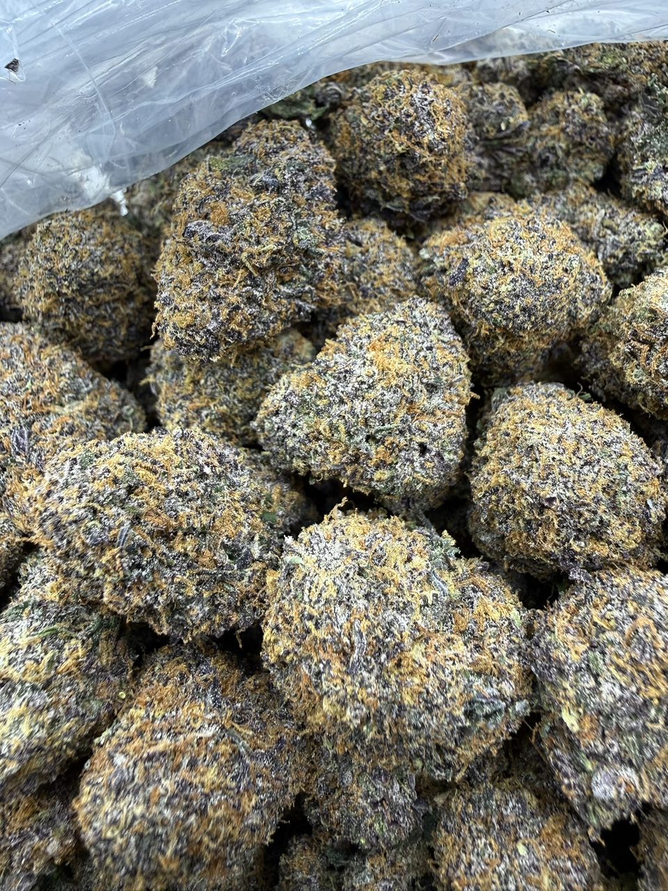 Purple Gas Candy
