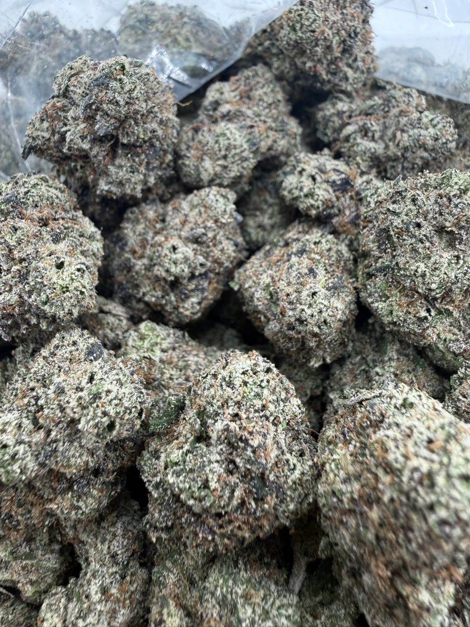Candy Pussy