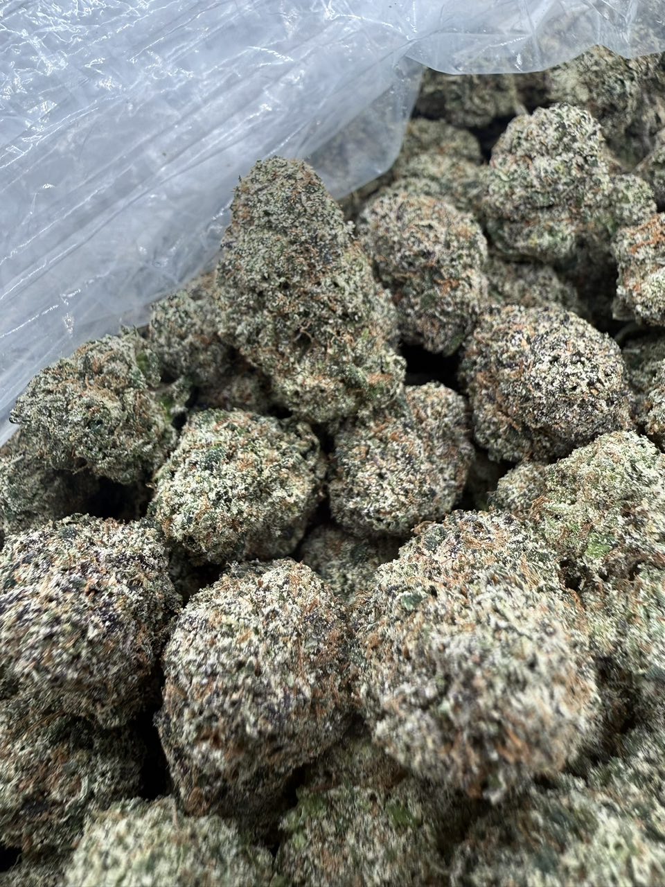VIP Cherry