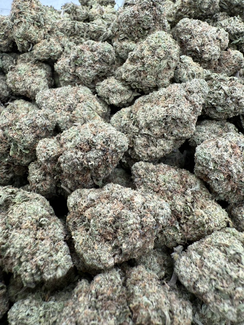 Runtz OG