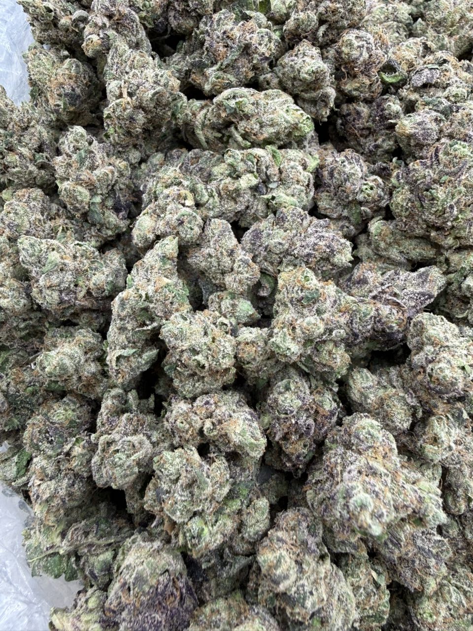 #3079 Strawberry Sherb