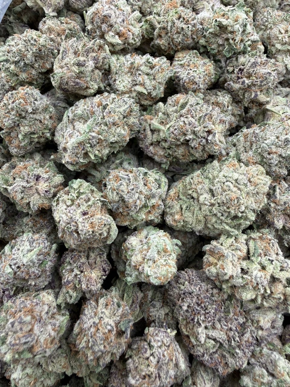 #3063 Purple Punch