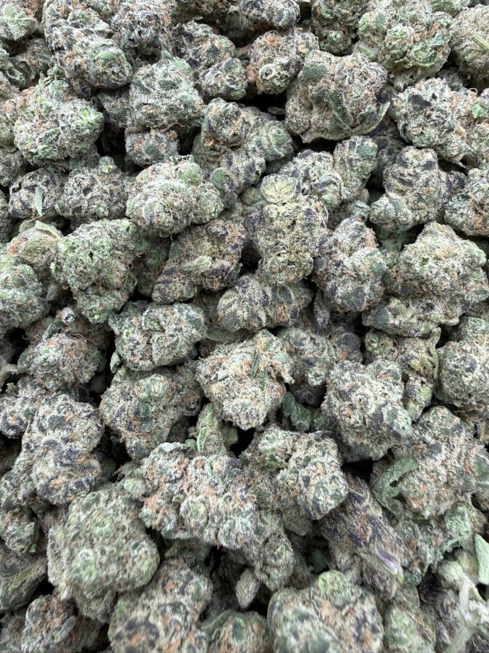 #3067 Space Cake sm